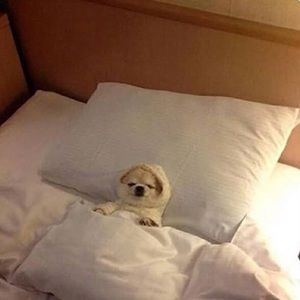 Meet your Posher, Daniel